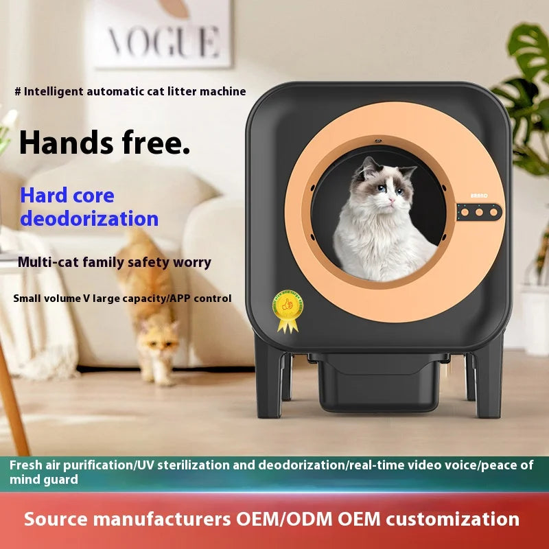 The Aurumtail Opal Haven