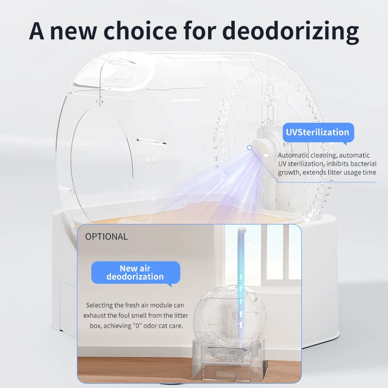 The Aurumtail Purr Dome