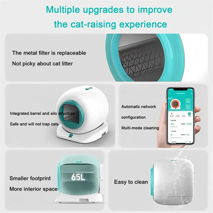 The Aurumtail Platinum Dome