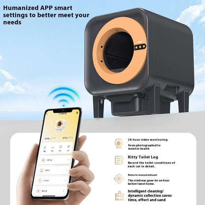 The Aurumtail Opal Haven