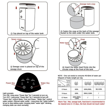 The Aurumtail Sanctum